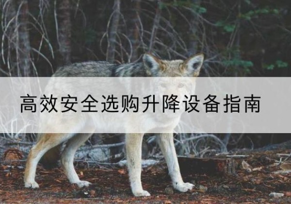 思南升降货梯厂家推荐-*安全选购升降设备指南