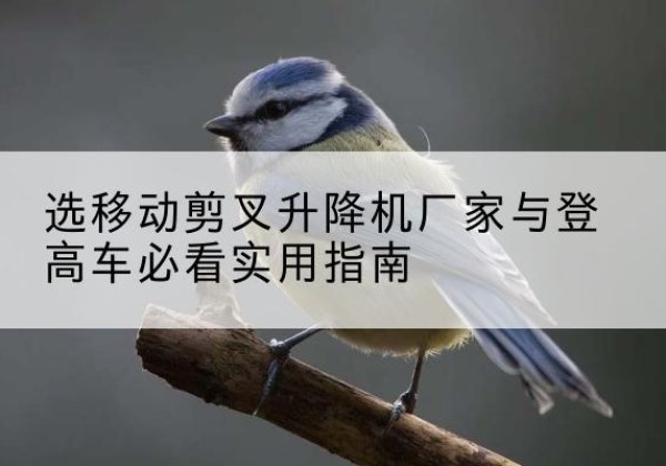 思南电动升降机厂家-选移动剪叉升降机厂家与登高车必看实用指南